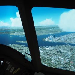 人気のニューヨークフライトをレポート ✈