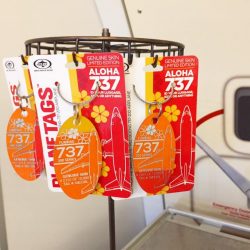 限定品 ✈ アロハ航空 Plane Tag 入荷しました