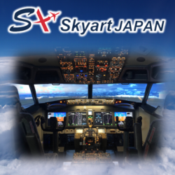 Skyart  JAPAN GOODS販売！！　楽天！？