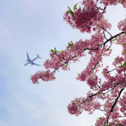 羽田空港・都心アプローチ